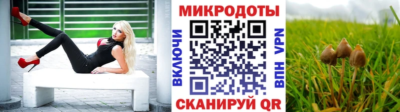 Галлюциногенные грибы Psilocybe  Купить закладки  Павловский Посад 